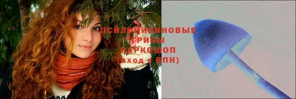 мет Алексин