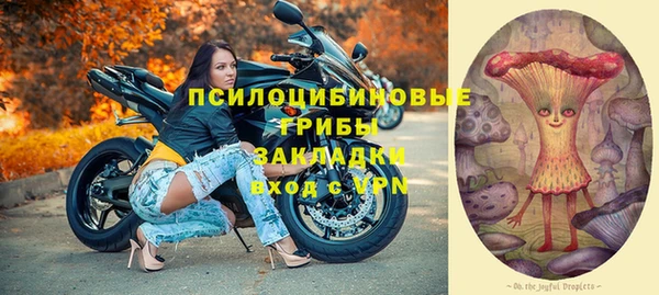 PSILOCYBIN Алексеевка
