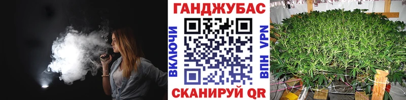 omg tor  Буй  Шишки марихуана сатива 